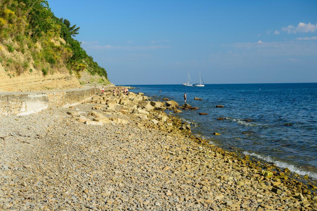 Sea View Guesthouse Opara Piran Dış mekan fotoğraf